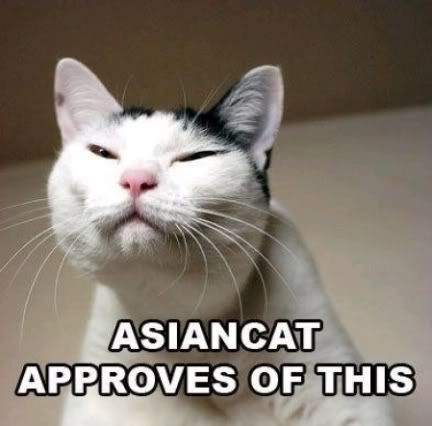 Asian on Asian Cat Approves Jpg Picture By Slabforlife Photobucket