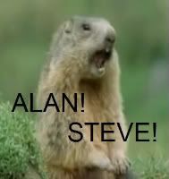 Alan Steve