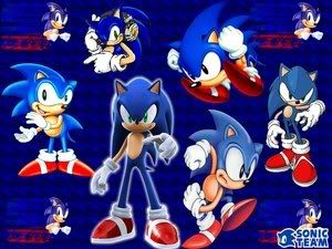 hedgehog hedgehog