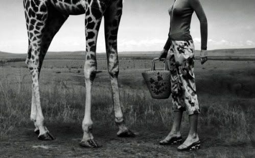 elliott erwitt