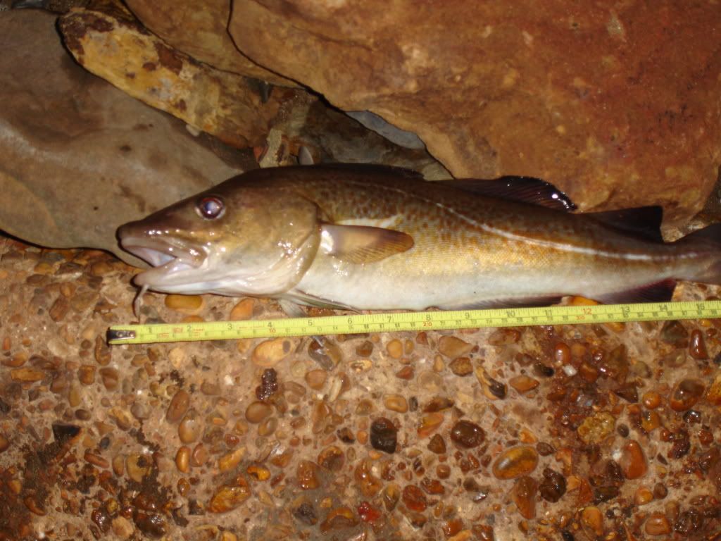 winterseafishing002.jpg