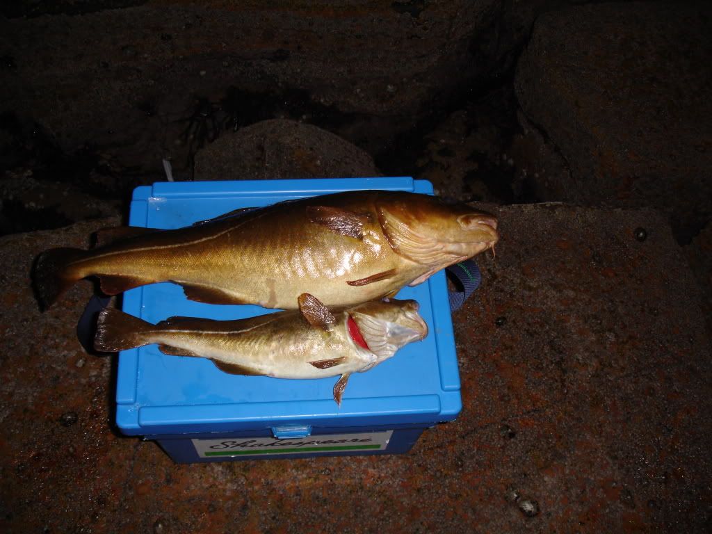 winterseafishing081.jpg