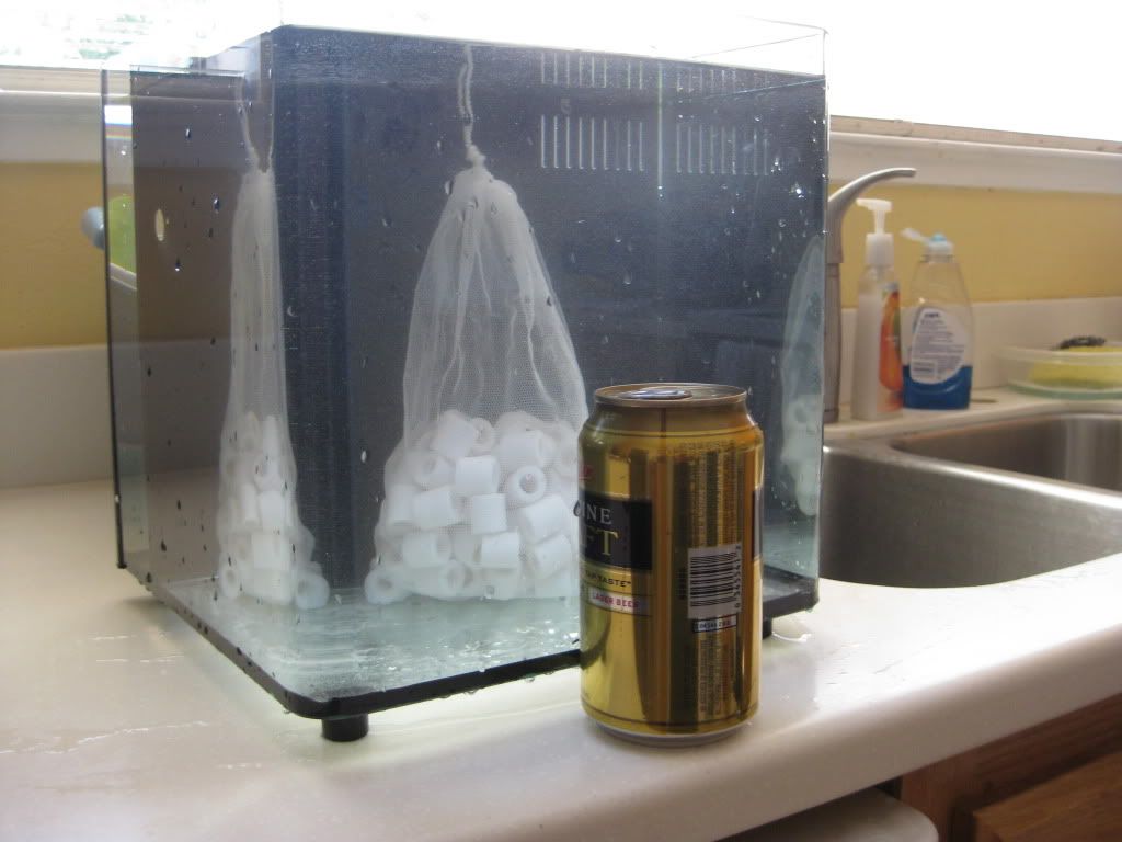 aqua japan 25 Reef Central Online Community