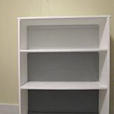 ombre bookcase
