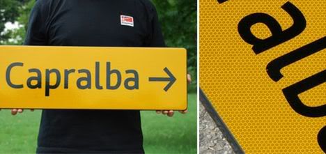 Flaminia Type System