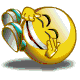 smiley-lachend.gif