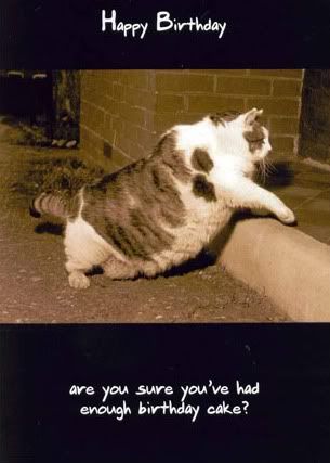 fatcatbday.jpg