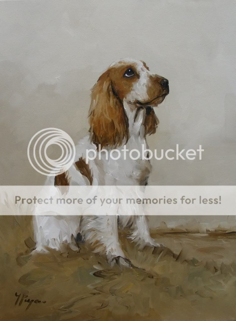 Original Oil painting   portrait of an english cocker spaniel dog by j 